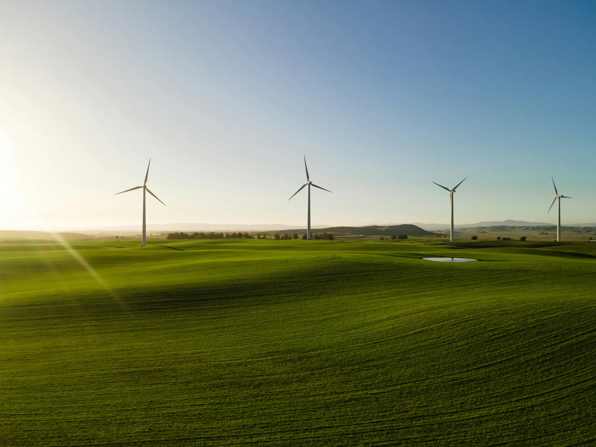 Windmolens in veld